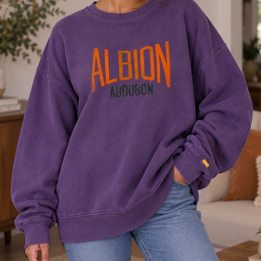 Levis Gold Tab Sweatshirt Albion Audubon Purple Graphic Oversized Collegite Lg